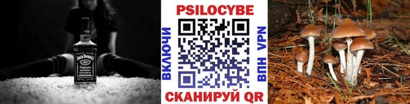 Галлюциногенные грибы мицелий Абинск