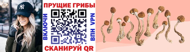 купить наркотик Абинск сайты даркнета формула Галлюциногенные грибы мицелий