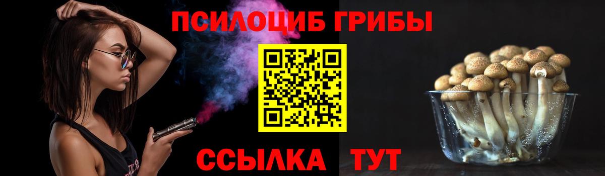 Абинск  где купить наркотик  Галлюциногенные грибы прущие грибы  Вход с VPN  Псилоцибиновые грибы мухоморы 
